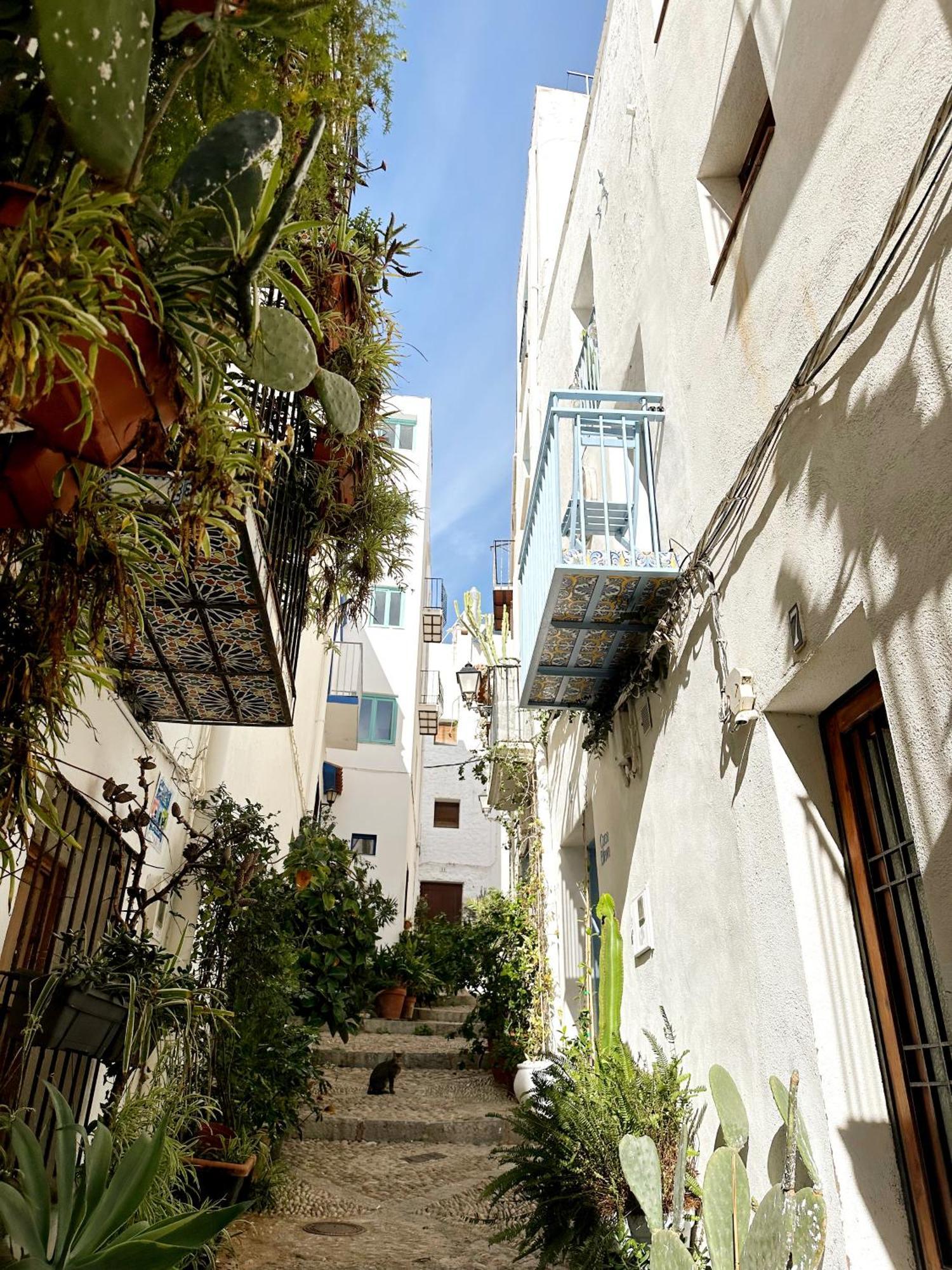 Casa Blava, Casco Antiguo De Peniscola Villa Bagian luar foto